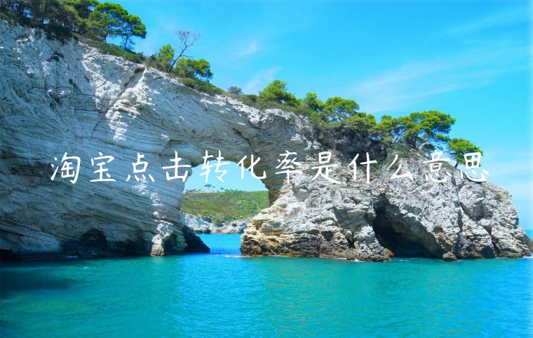 淘寶點(diǎn)擊轉(zhuǎn)化率是什么意思